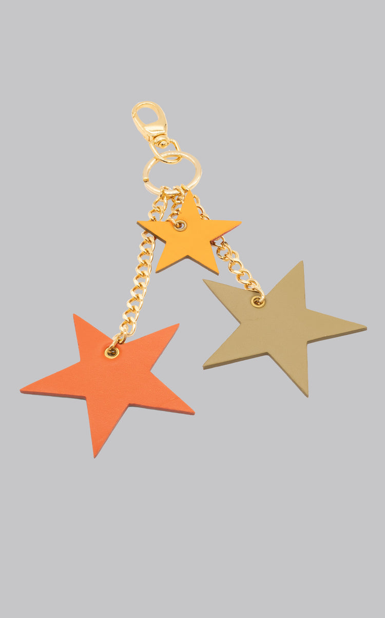 CHARMS
